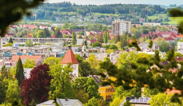 WELS 01.07.2025