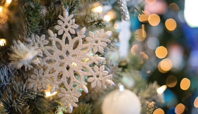ADVENT IN DRESDEN 27.-29.11.2026
