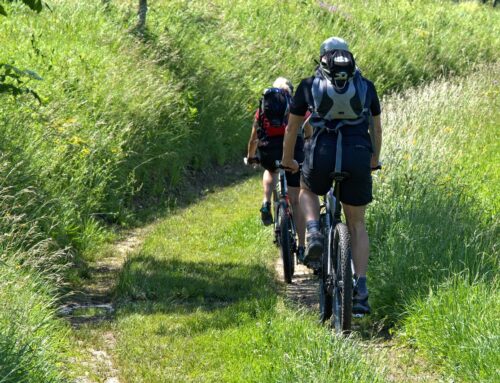 E-BIKE REISE KAMP- UND THAYATAL 25.-28.06.2026