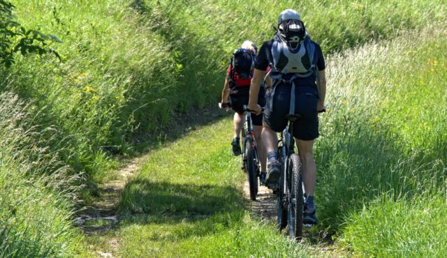 E-BIKE REISE KAMP- UND THAYATAL 25.-28.06.2026