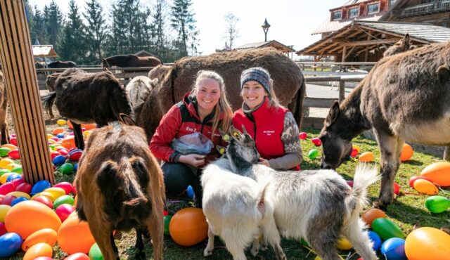 OSTERN AUF GUT AIDERBICHL 03.04.2026
