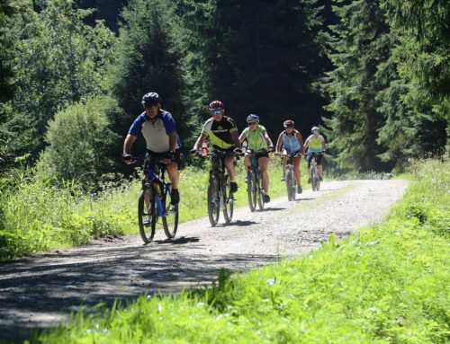 E-BIKE REISE SALZBURGER SEENLAND 30.07.-02.08.2026