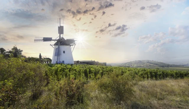 WEINSTADT RETZ 20.04.2026