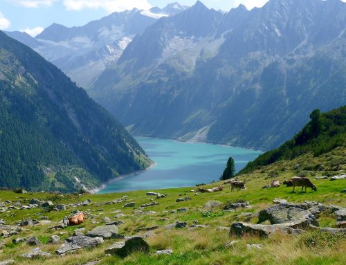 TIROLER BERGZAUBER ZILLERTAL & ACHENSEE 27.-30.08.2026