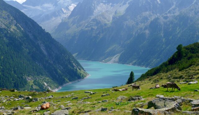 TIROLER BERGZAUBER ZILLERTAL & ACHENSEE 27.-30.08.2026
